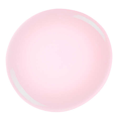 No. 313 - Transparent Beauty