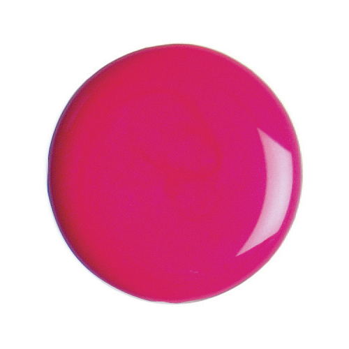 2016 - Funky Fuchsia