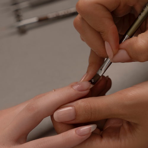 Bio Sculpture | Introductory Trial Kit