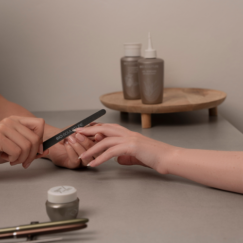 Bio Sculpture | Discovery Kit & Training